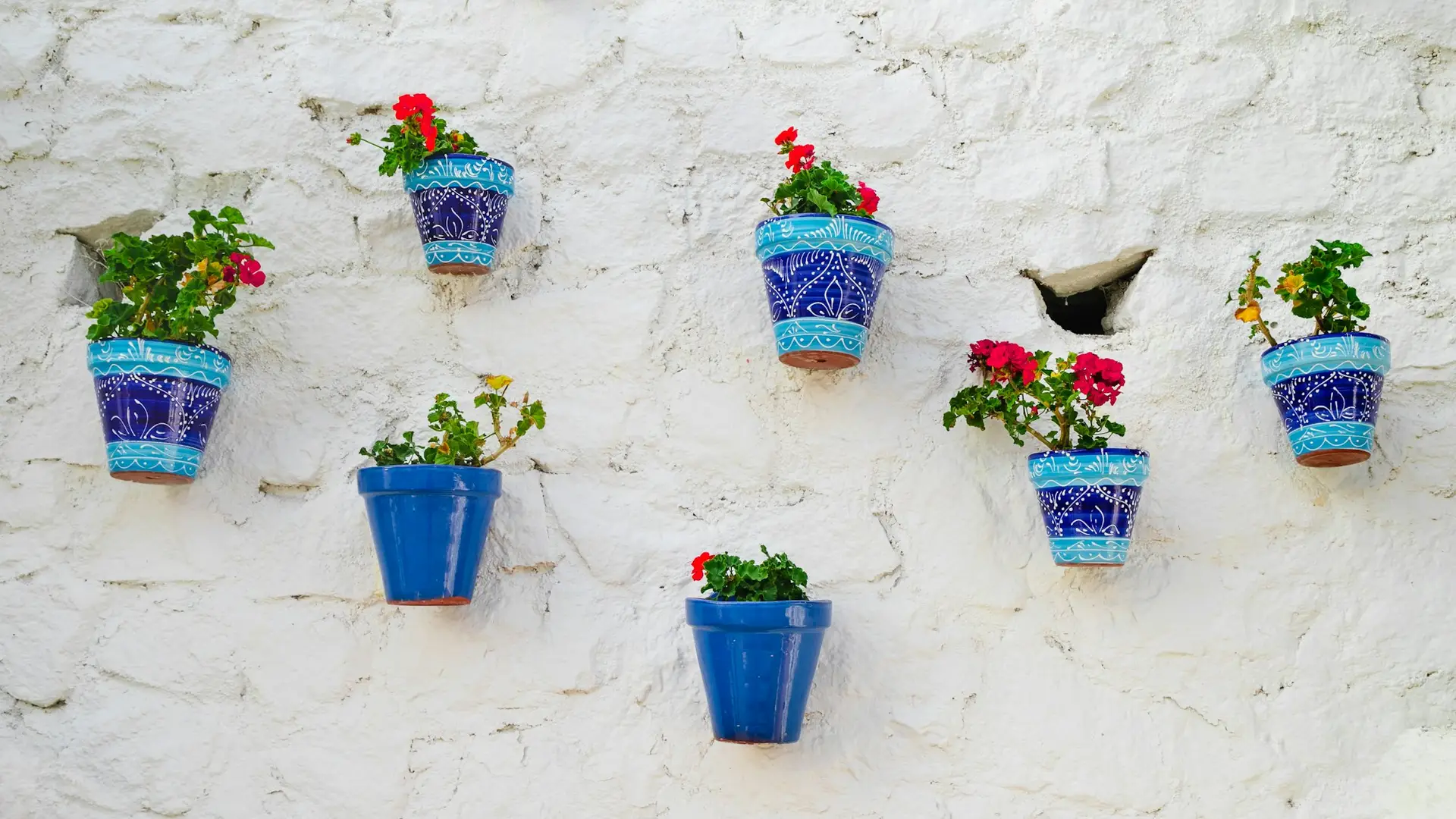 Many flower pots on a white wall, traditional Spanish city decoration in Mijas city