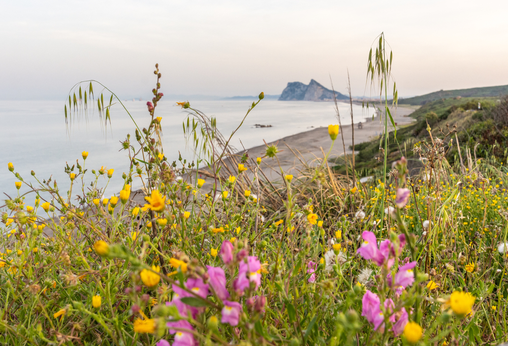 Gibraltar seen in the distance from Alcaidesa
